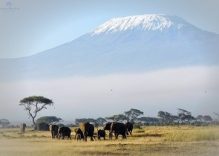 8 Days Climb Mount Kilimanjaro via Rongai Route