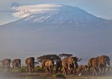 8 days Climb Mt Kilimanjaro Via Machame Route