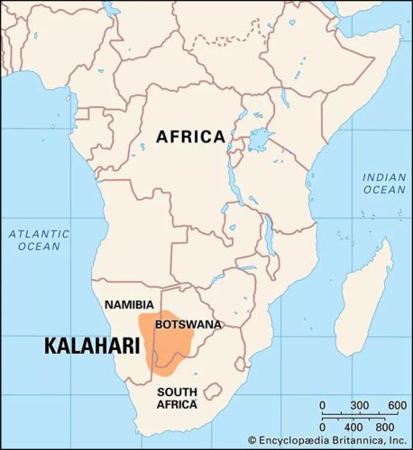 Kalahari Desert Map Kenya Safaris Tanzania Safaris 2020 21   Kalahari Desert Map 458x500 